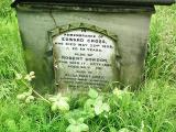 image of grave number 219747